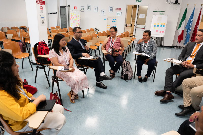 Group discussions Sci Dipl