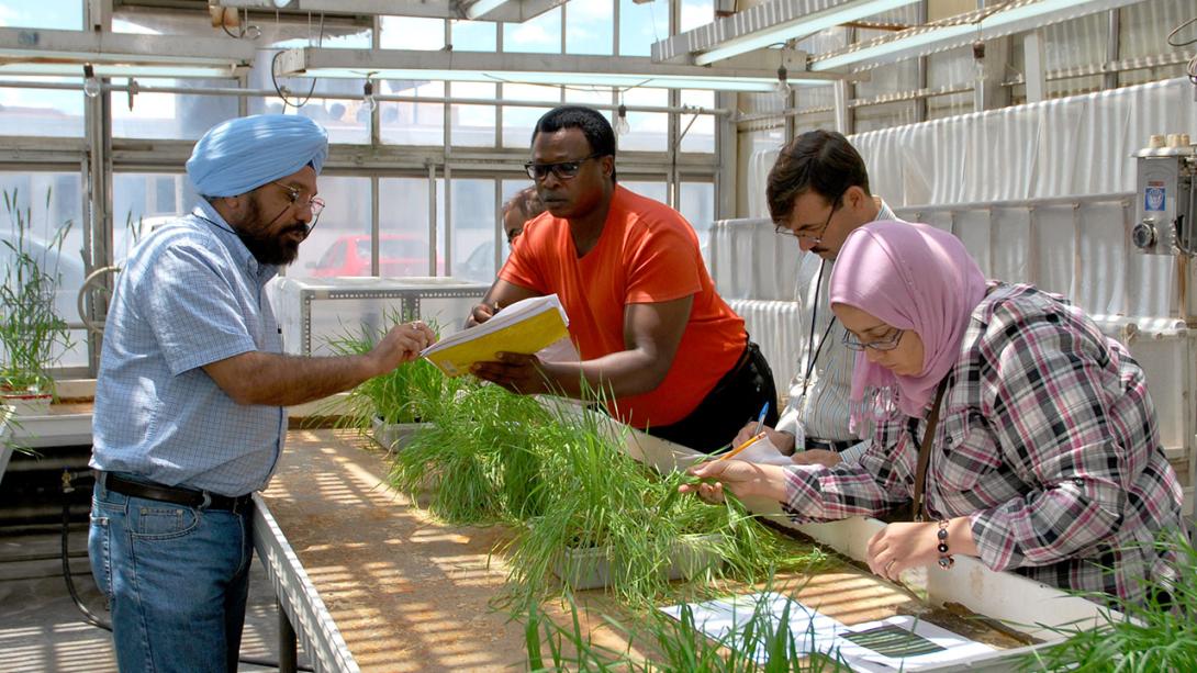 Men and women agricultural scientists from different countries working in a green house